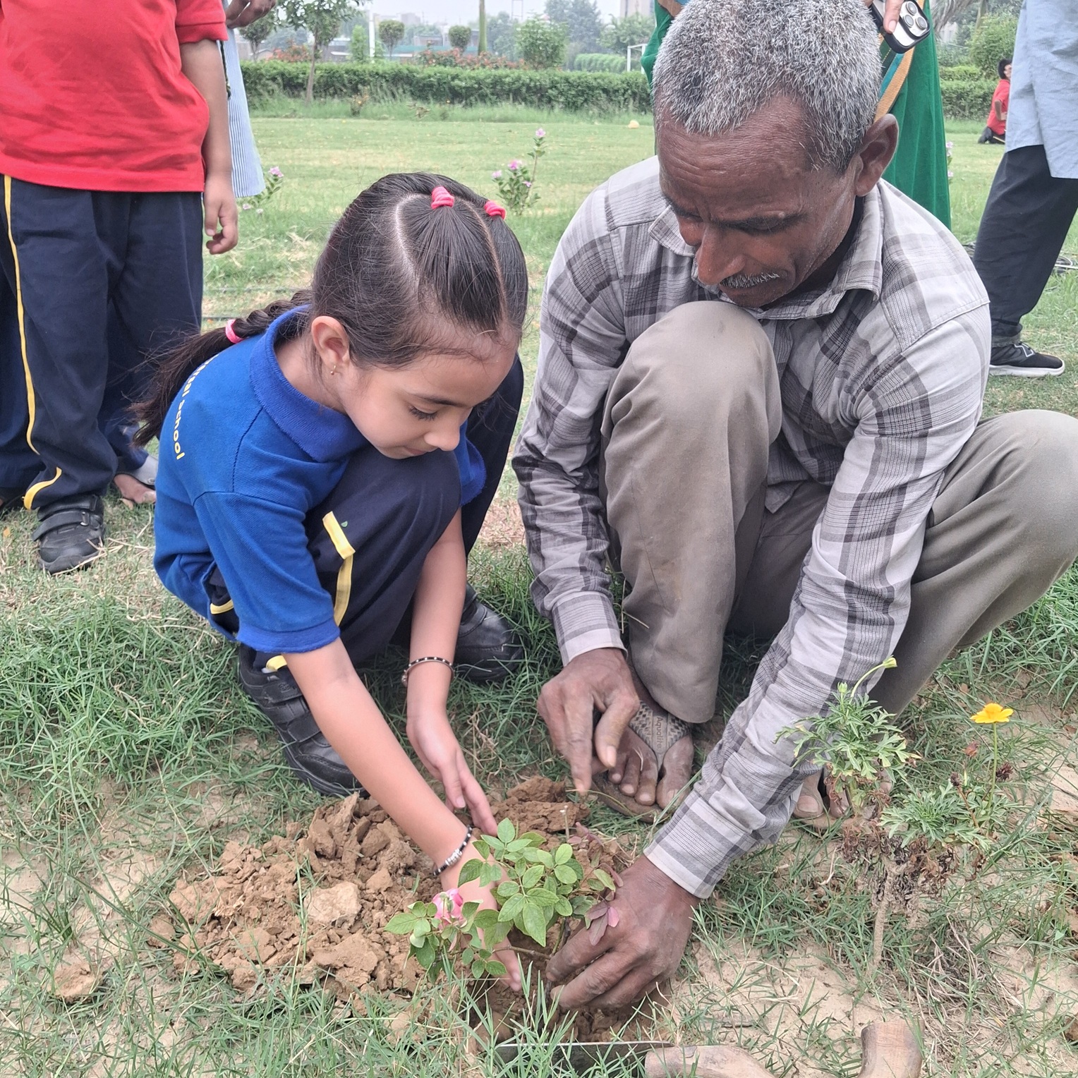 Plantation Drive