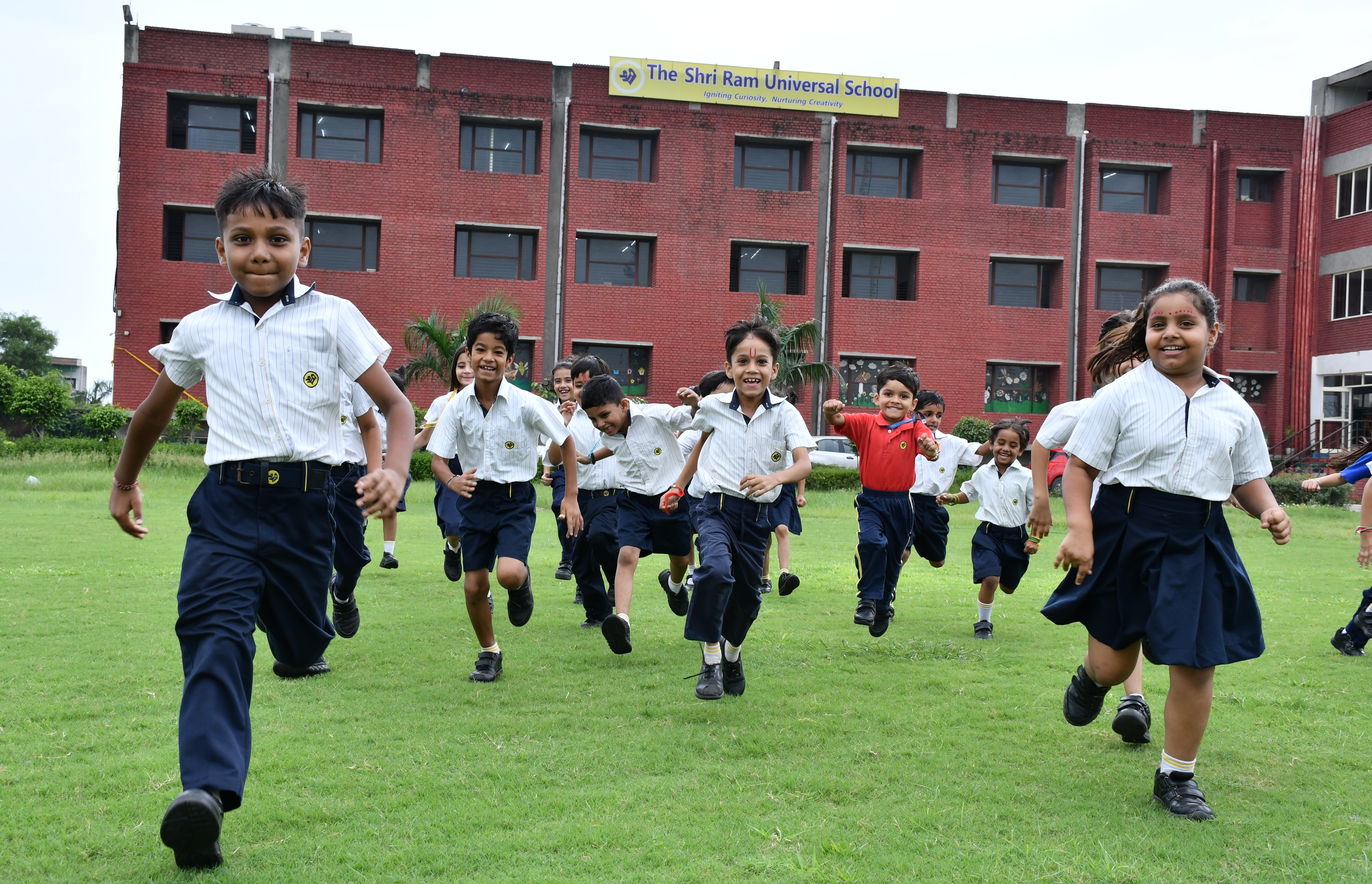 Active Learning